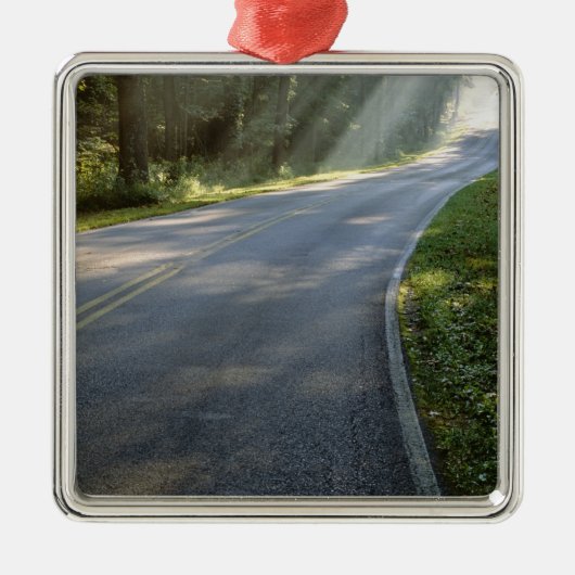 Sunrise door mist langs groene rivier metalen ornament (Voorkant)