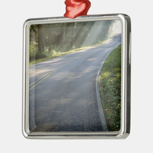 Sunrise door mist langs groene rivier metalen ornament (Links)