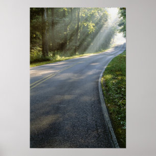 Sunrise door mist langs groene rivier poster