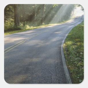 Sunrise door mist langs groene rivier vierkante sticker