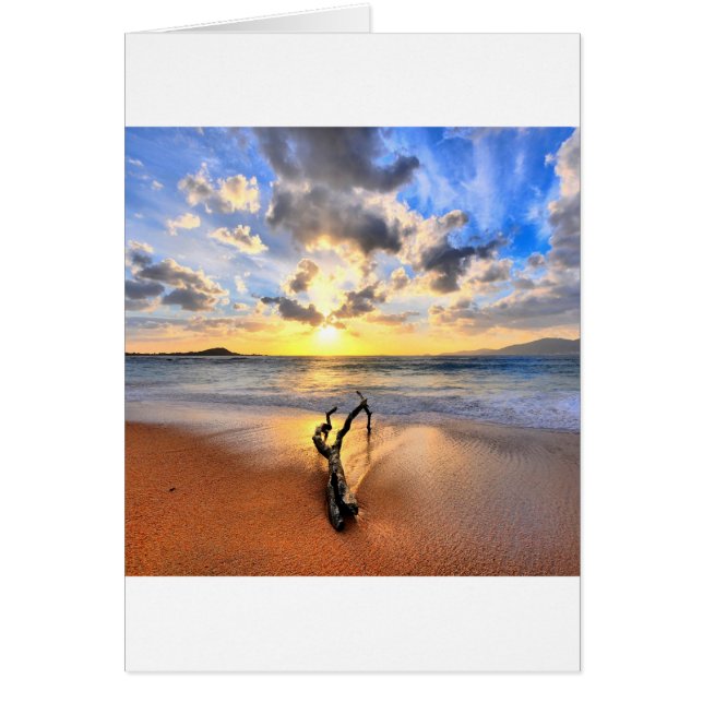 Sunrise Driftwood Beach (Voorkant)