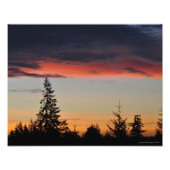 Sunrise en Trees Foto Afdruk (Voorkant)