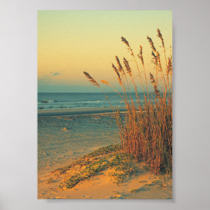 Sunrise Florida Beach Grass Poster Print