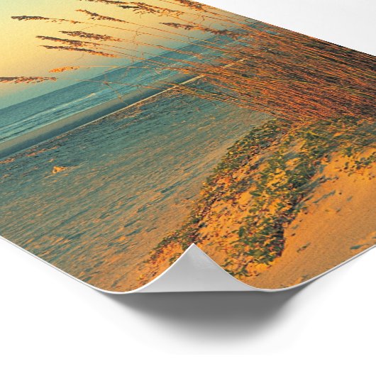 Sunrise Florida Beach Grass Poster Print (Hoek)