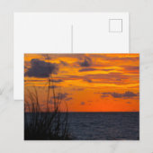 Sunrise, Fort Pierce, Florida Briefkaart (Voorkant / Achterkant)