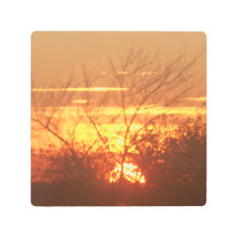 Sunrise Foto