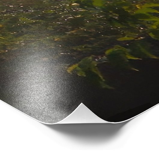 Sunrise Foto Afdruk (Hoek)