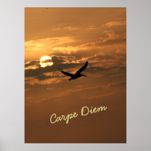 Sunrise Gold Photo Carpe Diem Ocean Poster