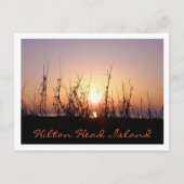 Sunrise Hilton Head Island Briefkaart (Voorkant)