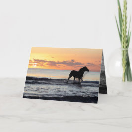Sunrise Horse in het Water Horse Wenskaart Kaart