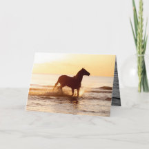 Sunrise Horse in het Water Horse Wenskaart