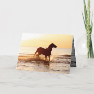 Sunrise Horse in het Water Horse Wenskaart Kaart