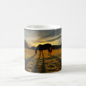 Sunrise horse mok (Center)