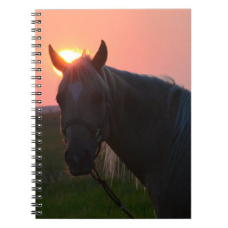Sunrise Horse Notitieboek