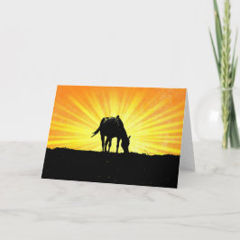 Sunrise Horse Silhouette Art Note Kaart