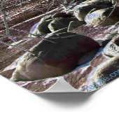 SUNRISE ICE-SCHAPE POSTER (Hoek)