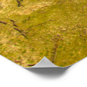 Sunrise in Beer Butte State Park, South Dakota Poster (Hoek)