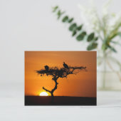 Sunrise in de Masai Mara, Kenia Briefkaart (Staand voorkant)