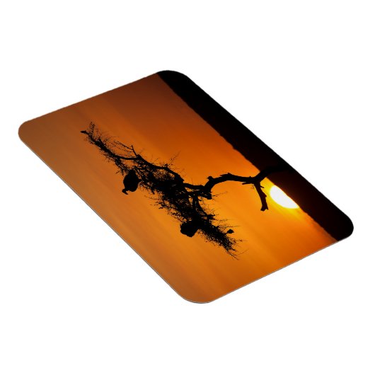 Sunrise in de Masai Mara, Kenia Magneet (Rechterzijde)