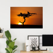 Sunrise in de Masai Mara, Kenia Poster (Thuiskantoor)