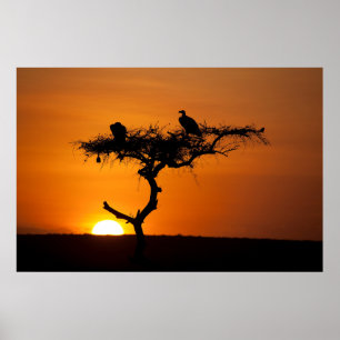 Sunrise in de Masai Mara, Kenia Poster