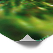 Sunrise in het bos 2 poster (Hoek)