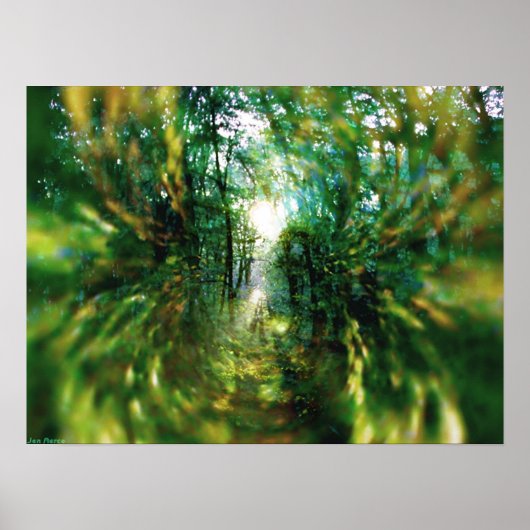 Sunrise in het bos 2 poster (Voorkant)