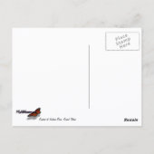 Sunrise in Jackson Dam Grand Teton National Park Briefkaart (Achterkant)