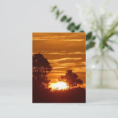 Sunrise in Louisiana Briefkaart (Staand voorkant)