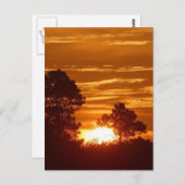 Sunrise in Louisiana Briefkaart (Voorkant / Achterkant)