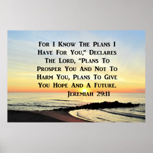 SUNRISE JEREMIAH 29:11 BIBLIOTHEEK POSTER