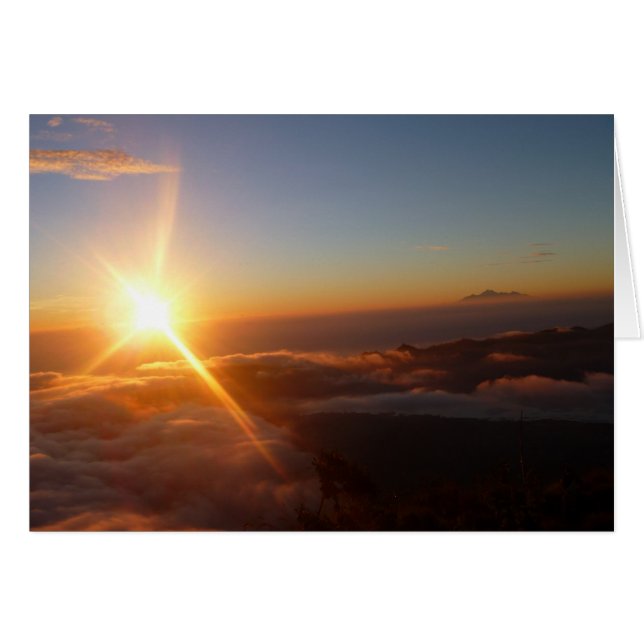 Sunrise Joy (Voorkant Horizontaal)