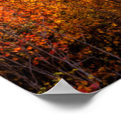 Sunrise Kancamagus Highway Overlook New Hampshire Poster (Hoek)