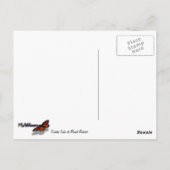 Sunrise Lake van Boven op Mount Rainier Park Briefkaart (Achterkant)