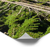 Sunrise Lake van Boven op Mount Rainier Park Poster (Hoek)