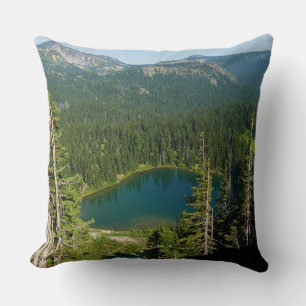 Sunrise Lake vanuit de lucht in Mount Rainier Park Kussen