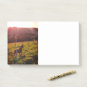 Sunrise Landschap met Dog Post-it® Notes (Op bureau)