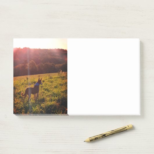 Sunrise Landschap met Dog Post-it® Notes (Op bureau)
