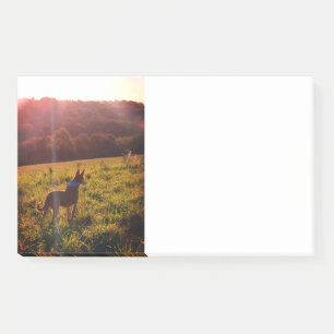 Sunrise Landschap met Dog Post-it® Notes