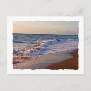 Sunrise langs de strandschilfgolven van Florida Briefkaart