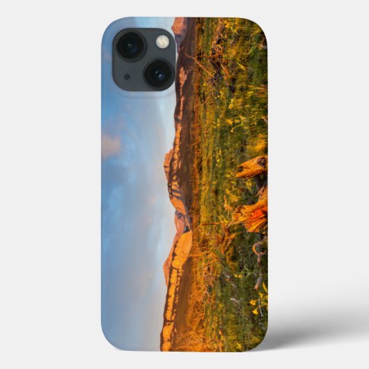 Sunrise Lights Blackleaf Canyon 2 Case-Mate iPhone Case (Achterkant)