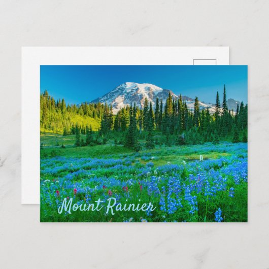 Sunrise Lupine en Mount Rainer Briefkaart (Voorkant / Achterkant)