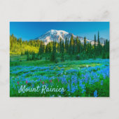 Sunrise Lupine en Mount Rainer Briefkaart (Voorkant)