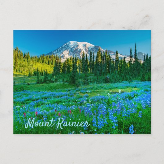 Sunrise Lupine en Mount Rainer Briefkaart (Voorkant)