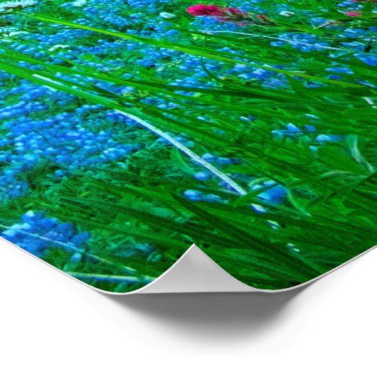 Sunrise Lupine en Mount Rainer Poster (Hoek)