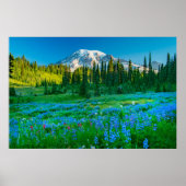 Sunrise Lupine en Mount Rainer Poster (Voorkant)