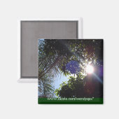 Sunrise Magneet (Voorkant / Achterkant)