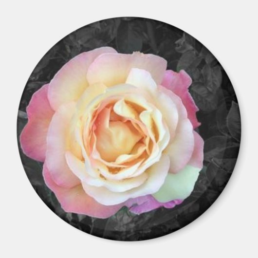 Sunrise Magneet (Voorkant)