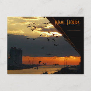 SUNRISE......    Miami, Florida Briefkaart