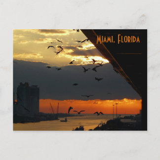 SUNRISE......    Miami, Florida Briefkaart